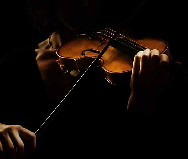 violin